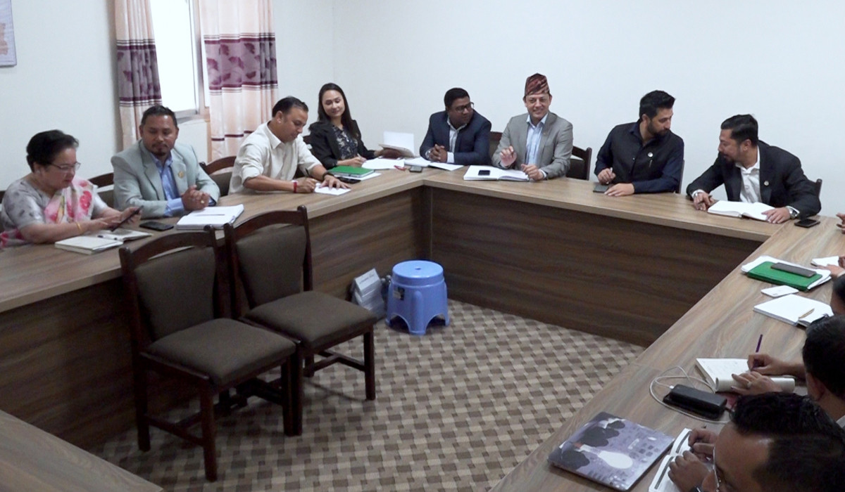 संसदीय छानबिन समिति गठनका लागि समर्थन गर्न दिन सक्दैनौँ : रास्वपा