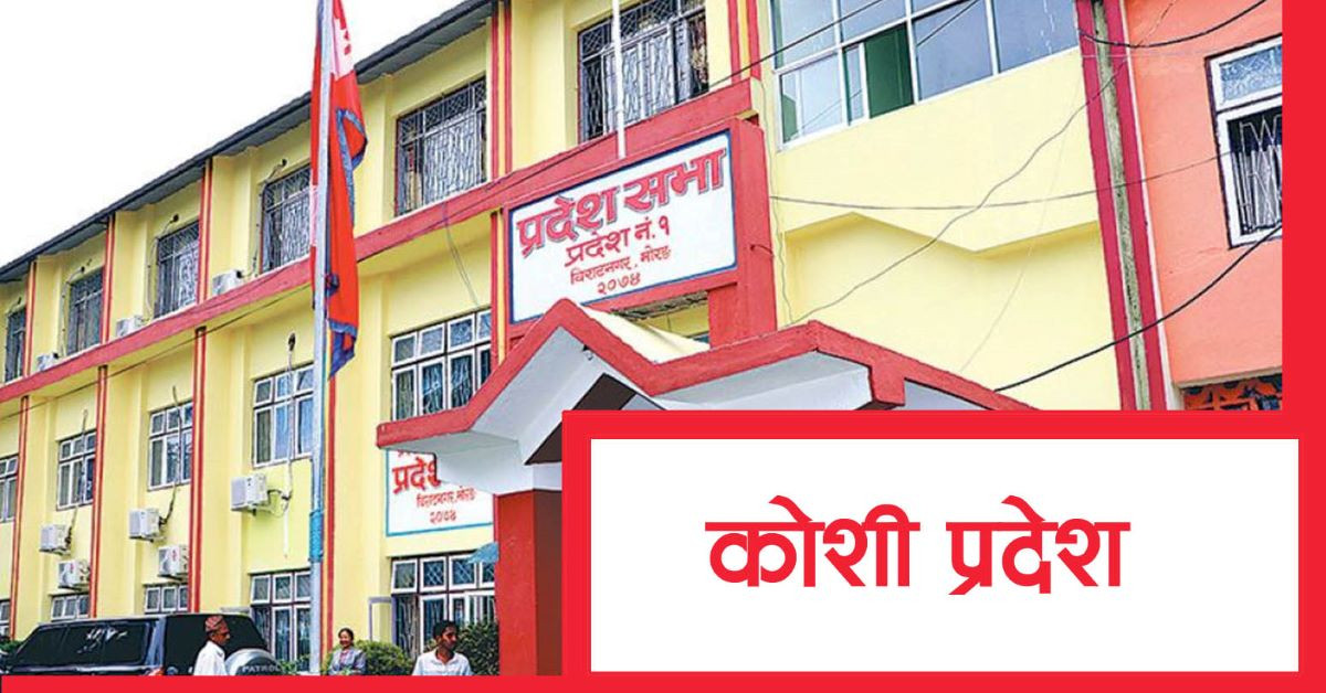 कोशी प्रदेशसभा : विषयगत समितिका सभापति निर्विरोध निर्वाचित