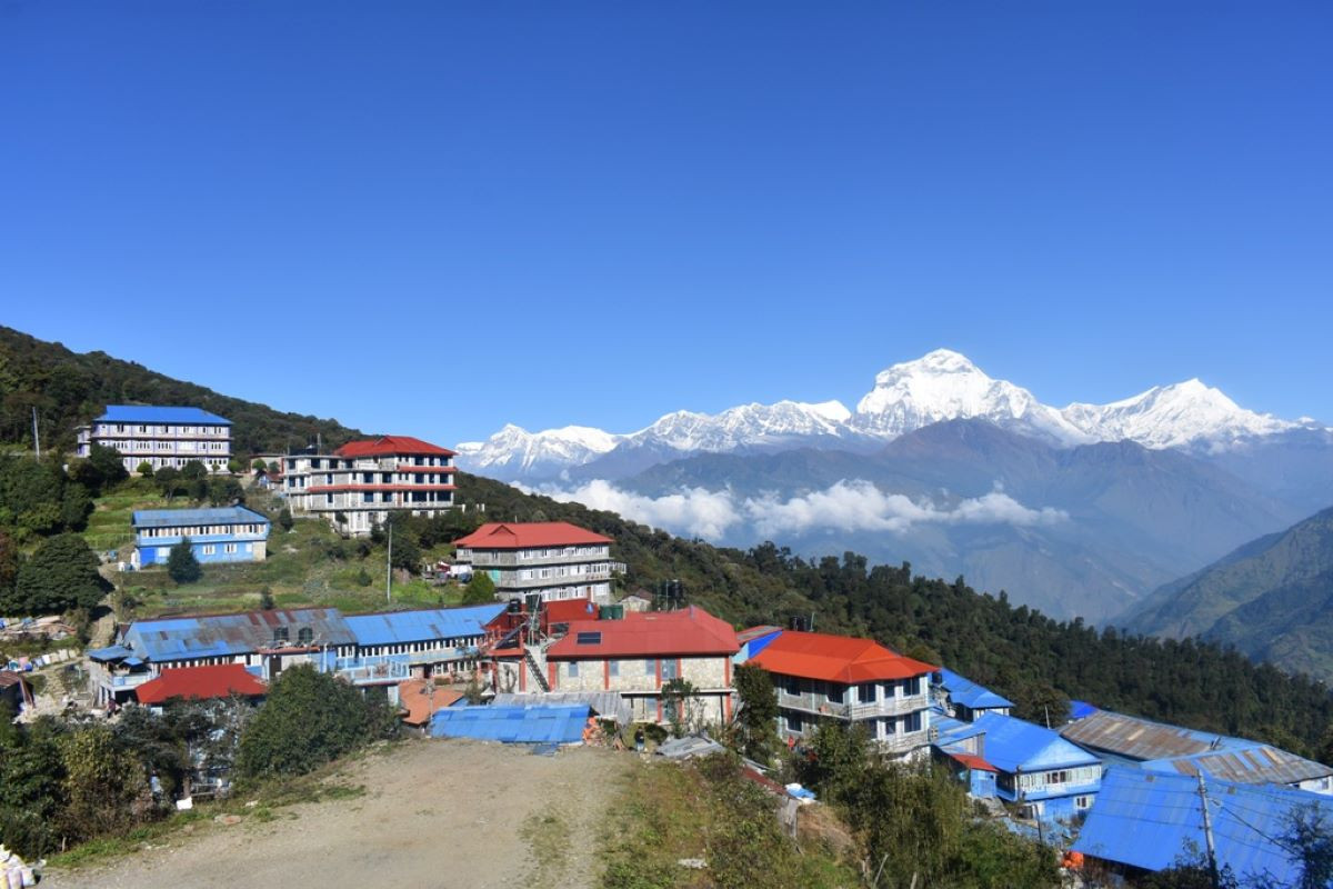 बाटो नहुँदा घोडेपानीमा पर्यटक आगमन घट्यो