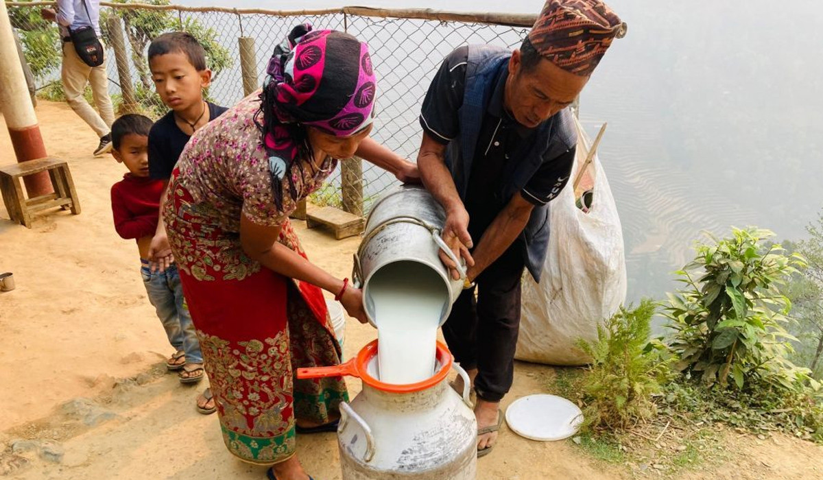 दूध सङ्कलन, प्रशोधन र बजारीकरण गर्दै सहकारी