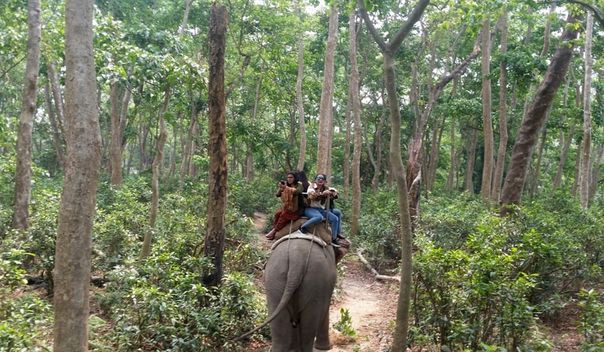 चितवनलाई जैविक विविधता तथा वन्यजन्तुको पर्यटकीय राजधानी घोषणा गरिने