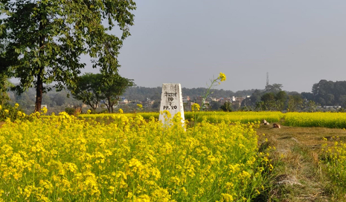 आलेखः दशगजा वारिपारि पहेँलपुर तोरीबारी