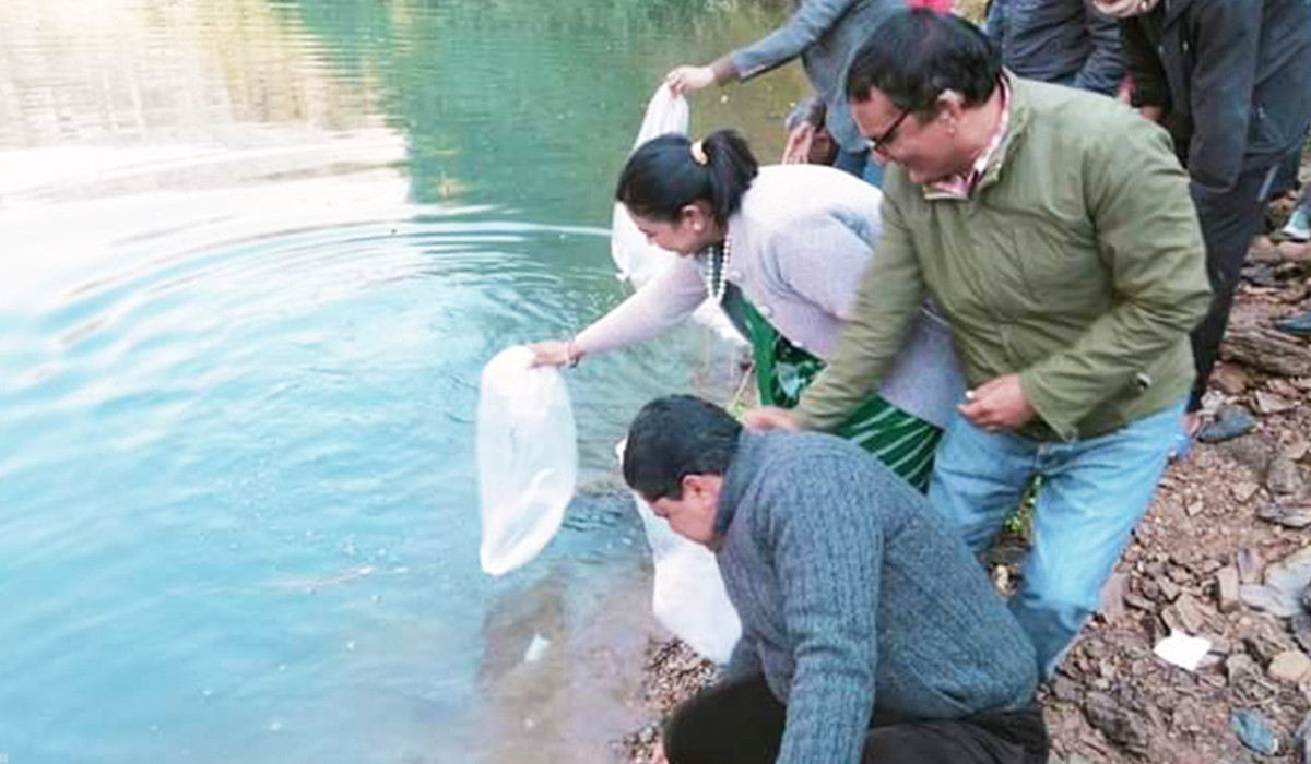 कालीगण्डकी मत्स्य ह्याचरीद्वारा यस वर्ष आठ लाख भुरा उत्पादन