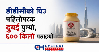 डीडीसीको घिउ पहिलोपटक दुबई पुग्यो, ६०० किलो पठाइयो