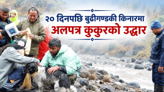 २० दिनपछि बुढीगण्डकी किनारमा अलपत्र कुकुरको उद्धार